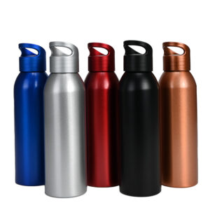 M0042 - Botella metálica 650cc